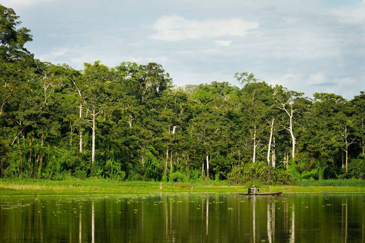River scene in Puerto Maldonado with lush Amazon rainforest and tropical vegetation. | Andean Travel Experience