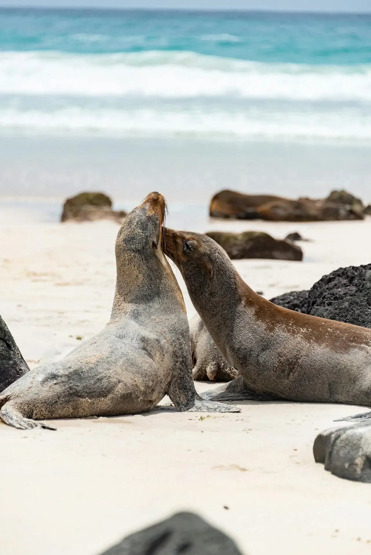 Ecuador Tours | Andean Travel Experience