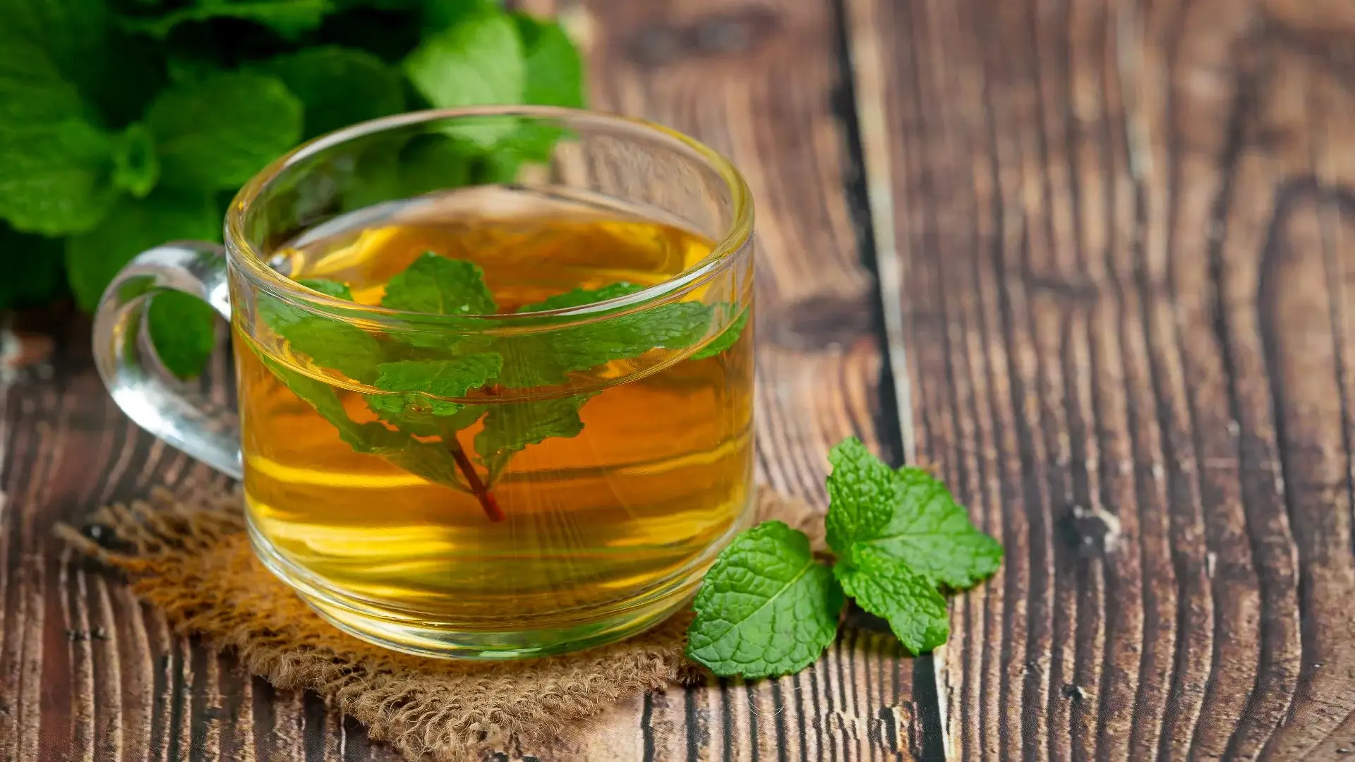 Te de Muña Peruvian Drink Benefits and more plant