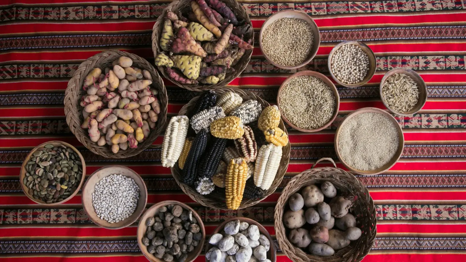 Cusco Food Plates and Food | Andean Travel Experience