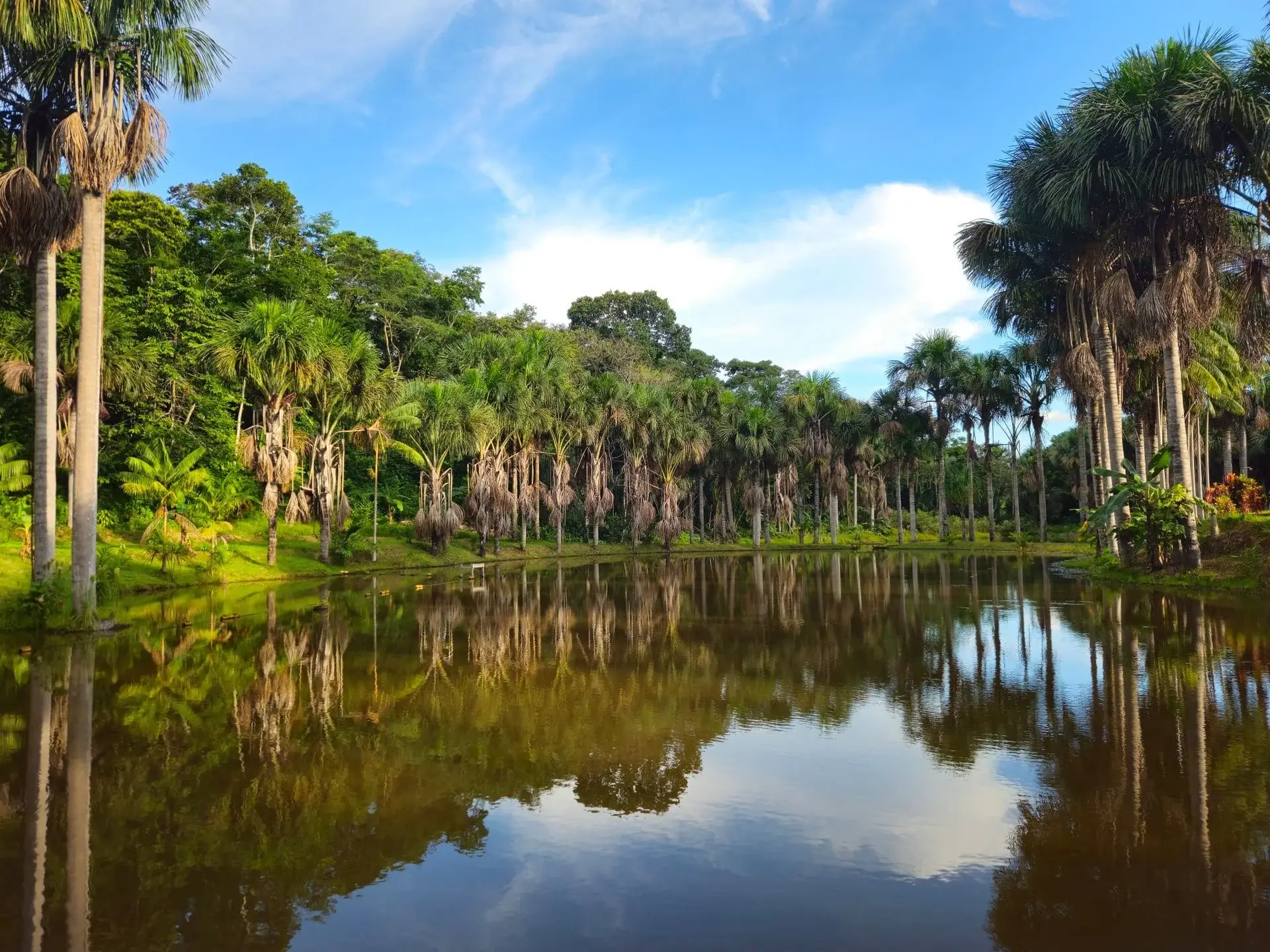 Amazon River on Puerto Maldonado | Andean Travel Experience