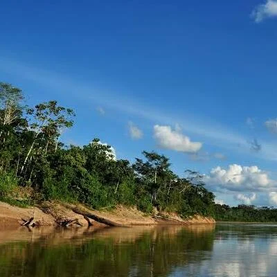 Bahuaja-Sonene National Park | Andean Travel Experience