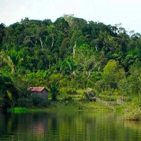 Bahuaja-Sonene National Park | Andean Travel Experience