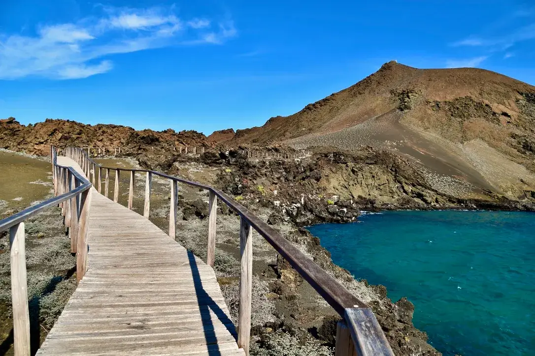 Bartolomé Island Snorkeling Galápagos | Andean Travel Experience
