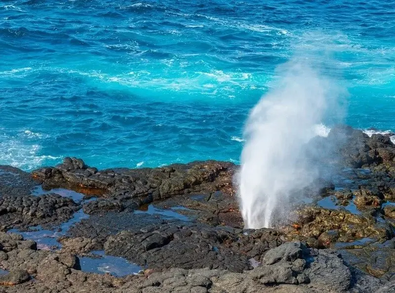 Española Island Wildlife Galápagos | Andean Travel Experience