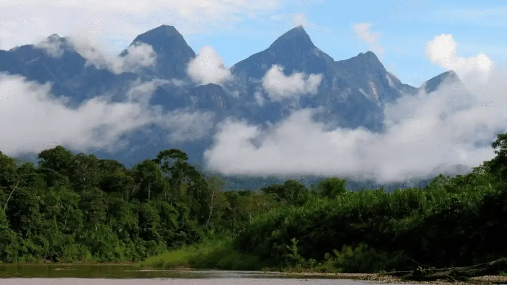 Ichigkat Muja National Park Peru Mountains and Rainforest | Andean Travel Experience