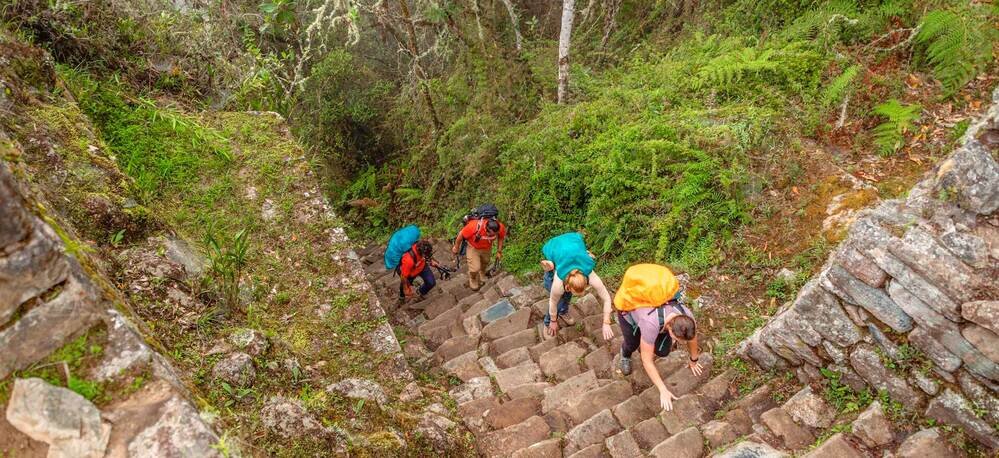 Inca Trail General Information and History | Andean Travel Experience