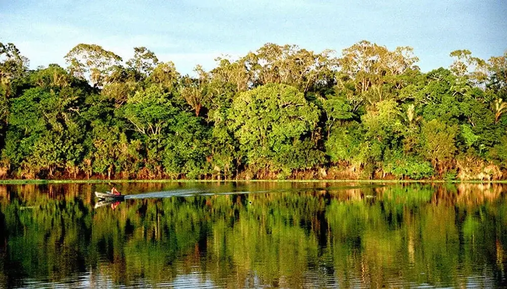 Purus National Park Peru Mountains and Rainforest | Andean Travel Experience