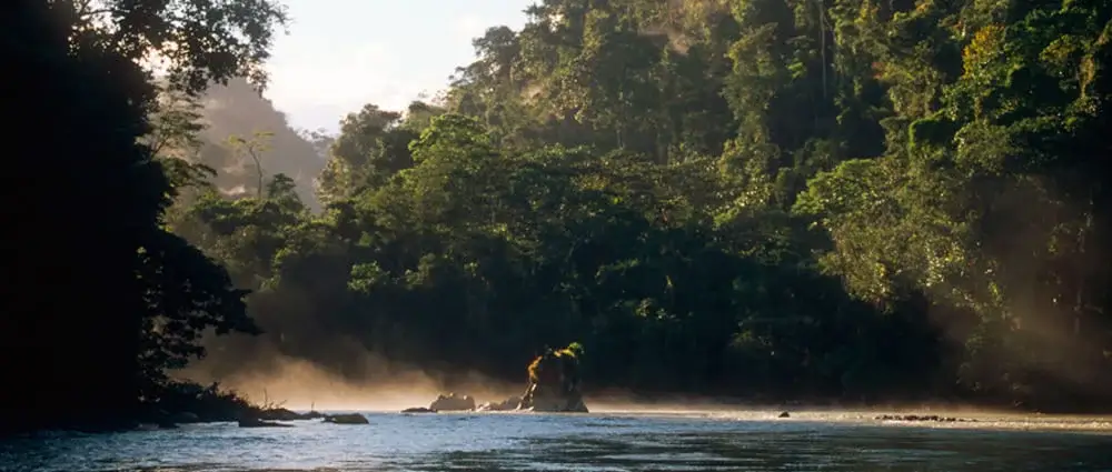 Río Abiseo National Park Rainforest river | Andean Travel Experience