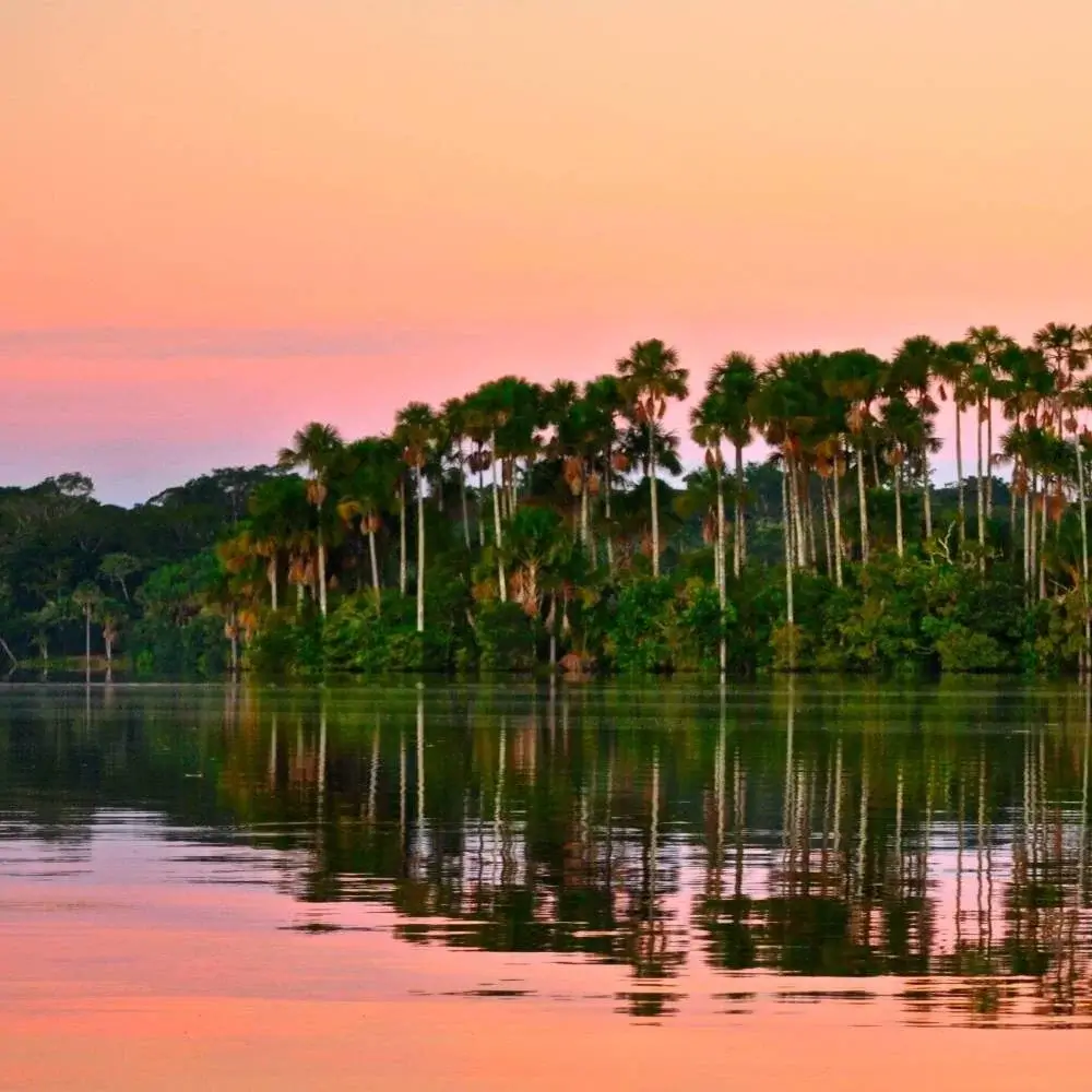 Lake Sandoval peaceful, mirror-like oxbow lake surrounded by lush rainforest. | Andean Travel Experience