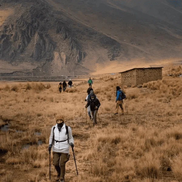 Thrilling Exploration Machu Picchu | Andean Travel Experience