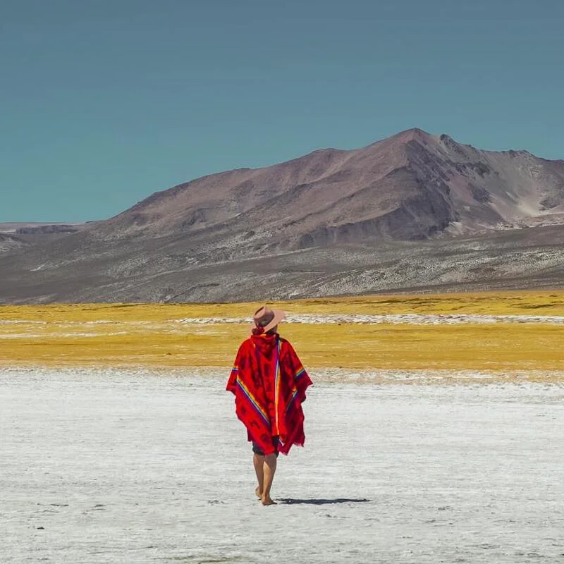 Aguas Salinas National Reserve Arequipa Peru | Andean Travel Experience