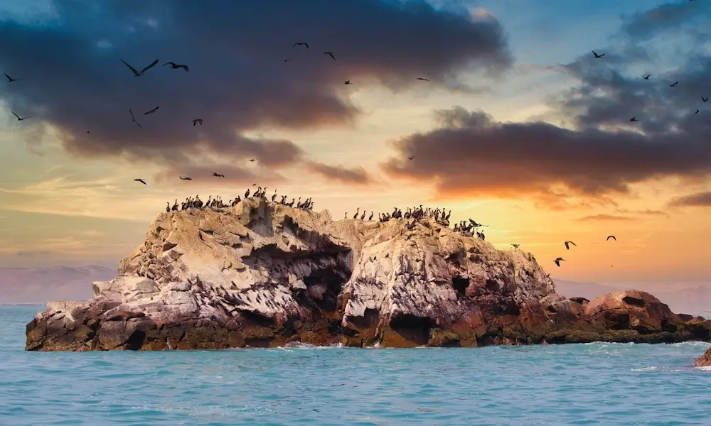 Ballestas Islands, Peru | Andean Travel Experience