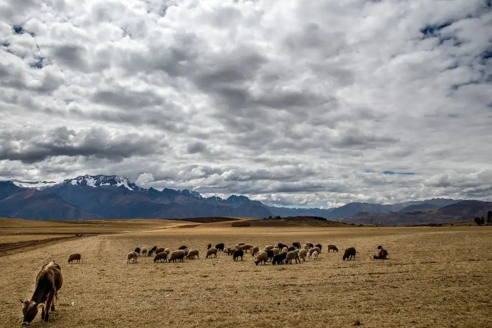 Chincheros cloudy day on top of a mountain animals walking on beautiful landscape | Andean Travel Experience