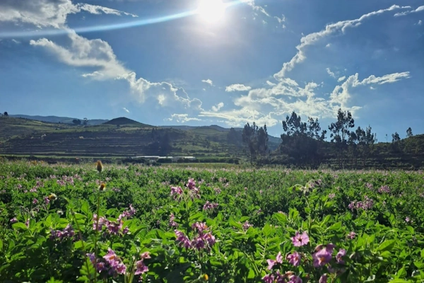 Biodiversity found in the unique ecosystem of Colca Canyon | Andean Travel Experience