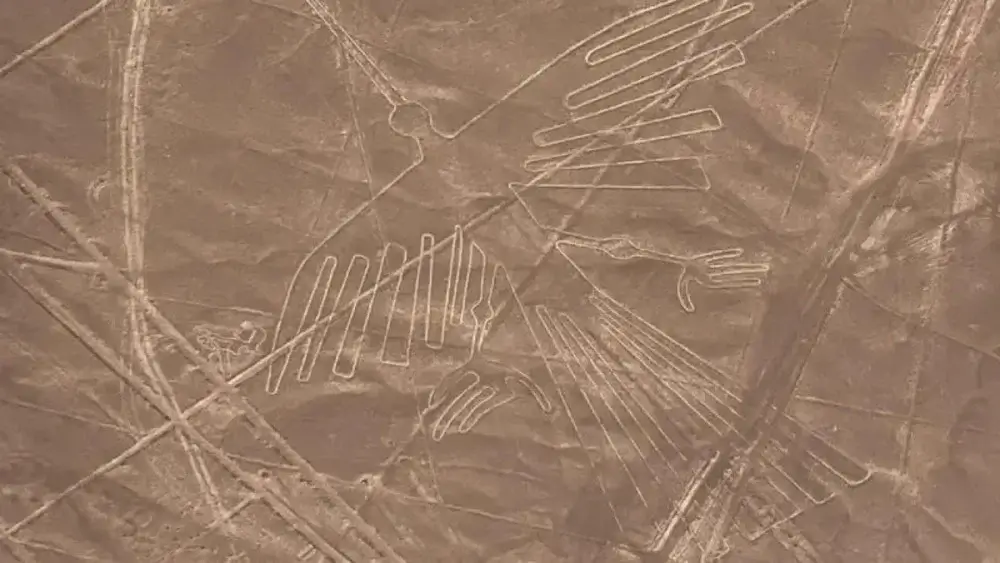 Condor Inca Nazca Lines in Ica Peru | Andean Travel Experience
