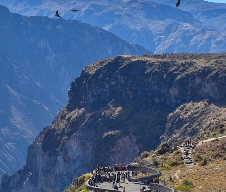 View from the Cruz del Cóndor viewpoint, showcasing Colca Canyon and flying condors | Andean Travel Experience