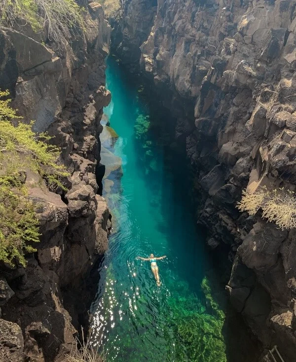 Santa Cruz Island Galápagos Tours | Andean Travel Experience