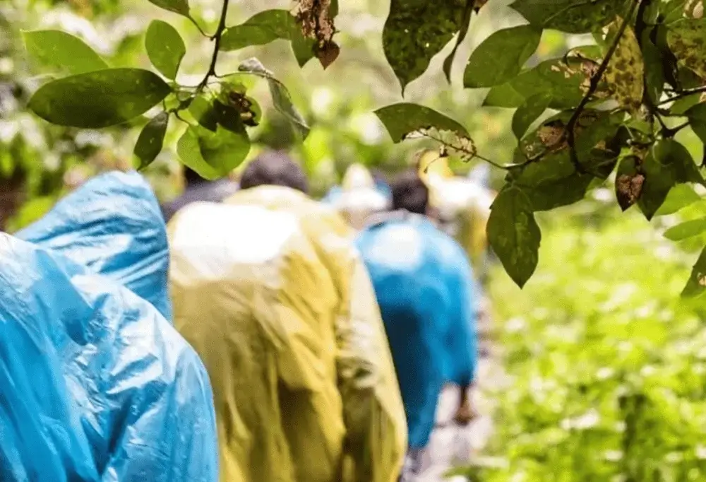 Close-up of hikers wearing colorful ponchos walking along the rainy Inca Trail | Andean Travel Experience