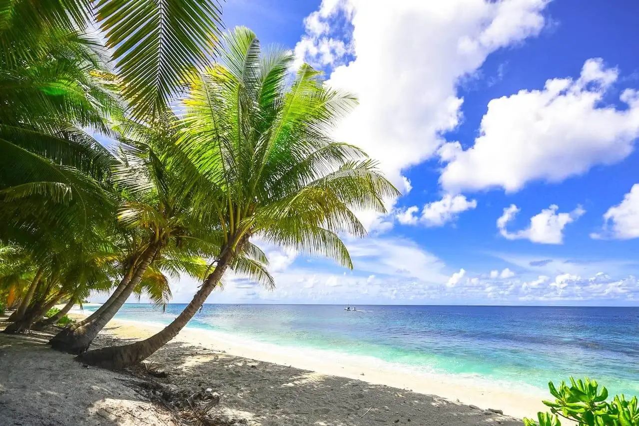 Best Destinations Beach in Peru ocean and sand | Andean Travel Experience