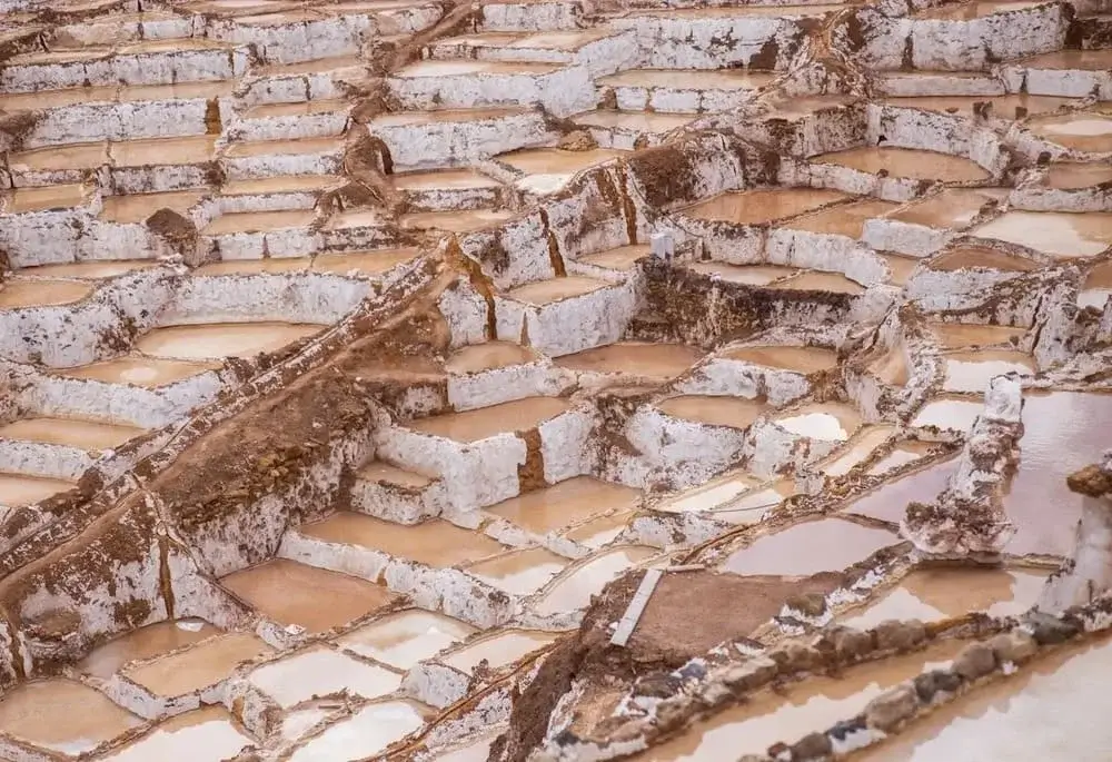 Panoramic view of the Maras Salt Mines in the Sacred Valley of Peru, showing hundreds of white salt pools cascading down the mountainside under the Andean sun. | Andean Travel Experience