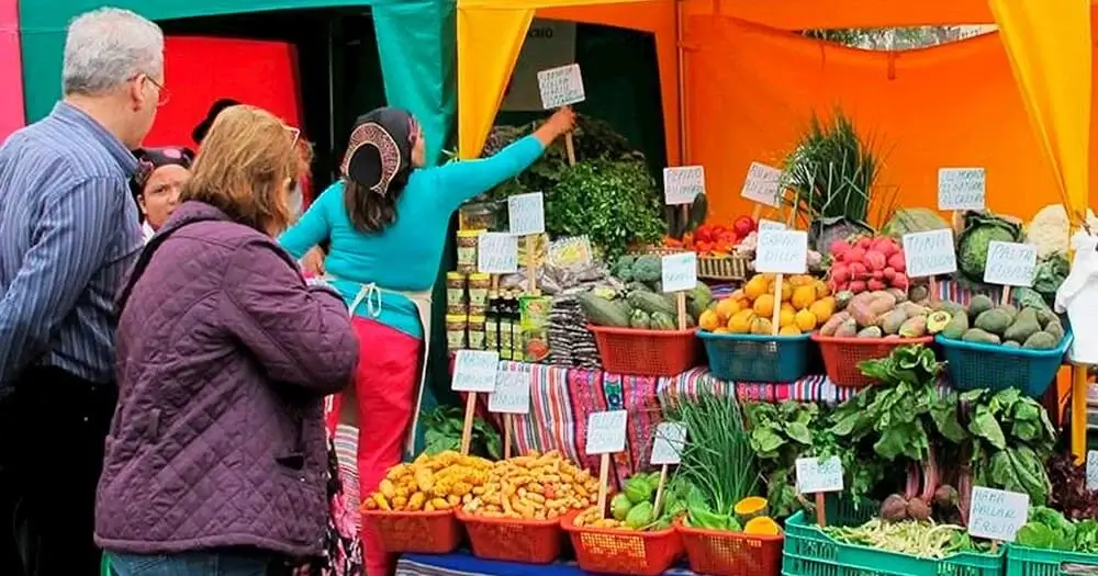 Colorful fruit and vegetable market at Mistura Peru showcasing local produce and culinary diversity | Andean Travel Experience