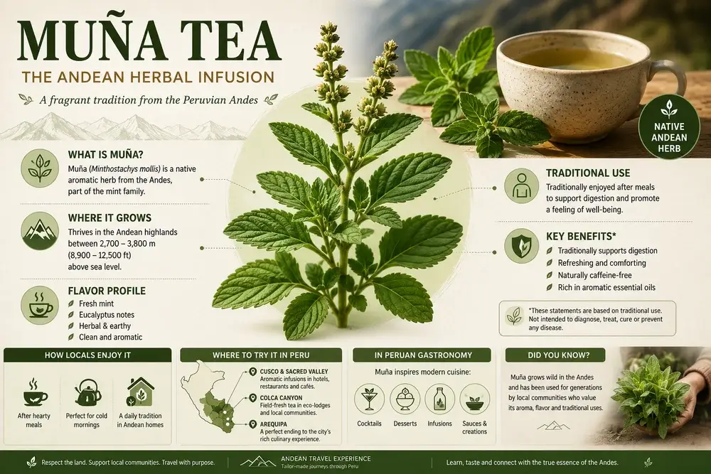 Muña Tea in Peru: Benefits, History, and Where to Experience | Andean Travel Experience
