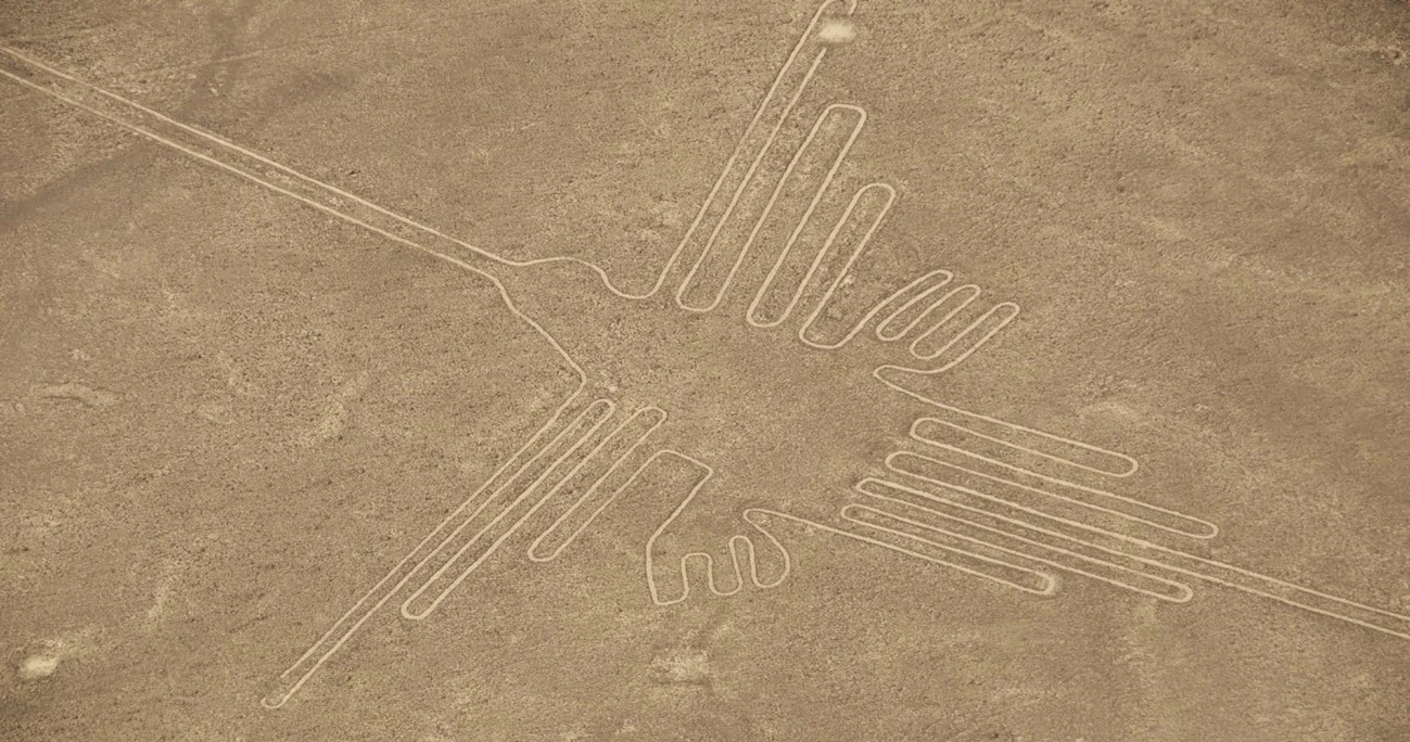 Hummingbird Ica Nazca Lines in Peru | Andean Travel Experience
