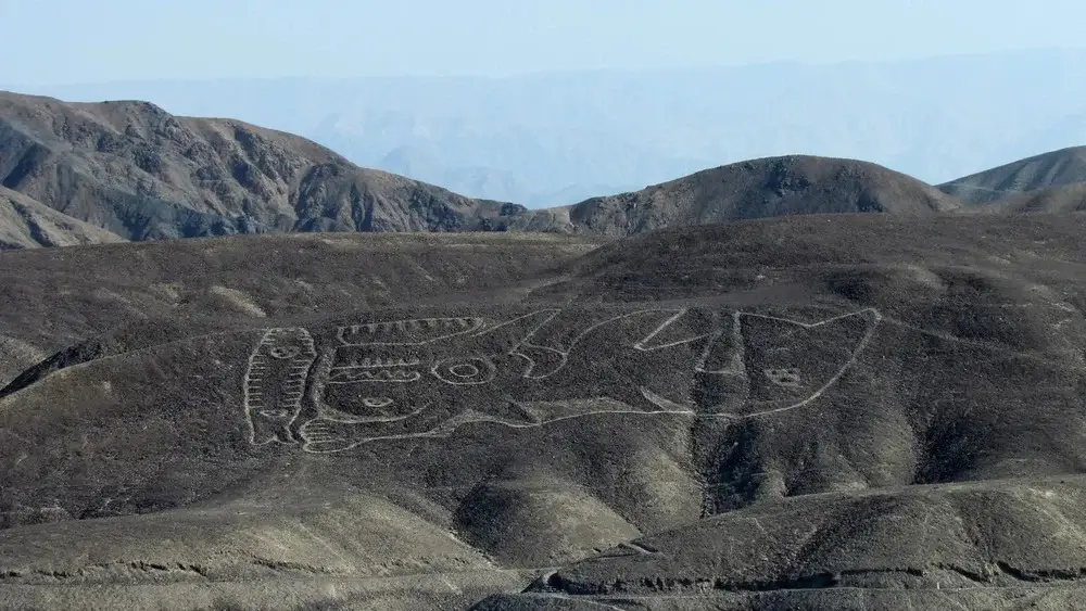 Whale Inca Nazca Lines in Ica Peru | Andean Travel Experience