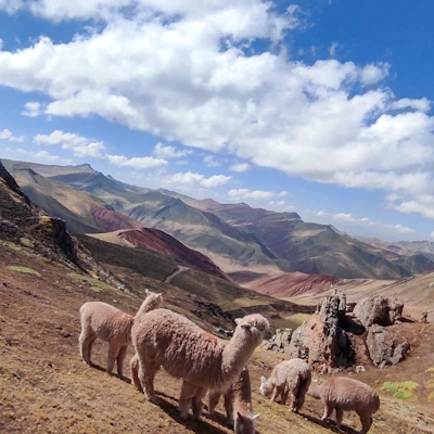 Palcoyo Mountain – Vibrant Rainbow Mountain in the Andes | Andean Travel Experience