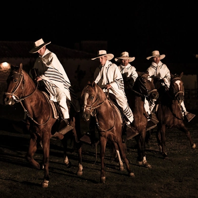 Peruvian Paso Horse Show | Andean Travel Experience