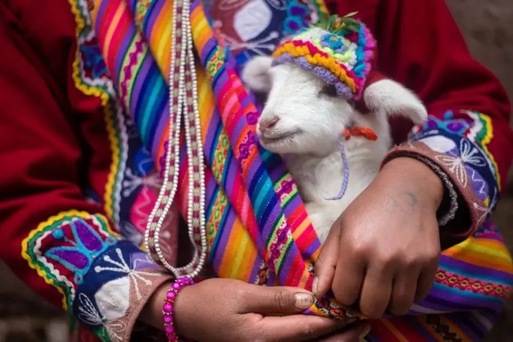 Traditional Peruvian textile with vibrant Andean patterns displayed beside a llama in the highlands of Cusco, Peru.| Andean Travel Experience