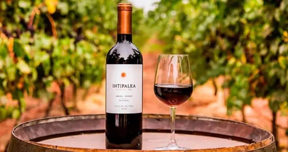Glass of Peruvian red wine with vineyard background in Ica Valley, highlighting Peru’s wine culture and tasting experience. | Andean Travel Experience