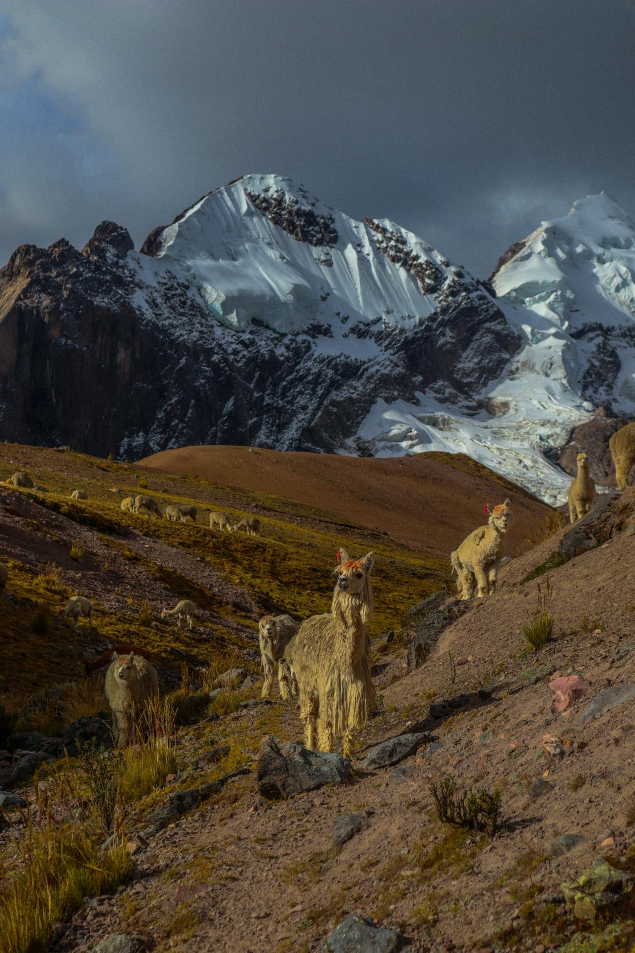 Sustainability | Andean Travel Experience