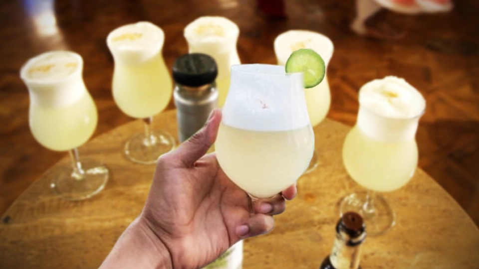 Tourists learning about Pisco varieties and history at Museo del Pisco in Lima | Andean Travel Experience