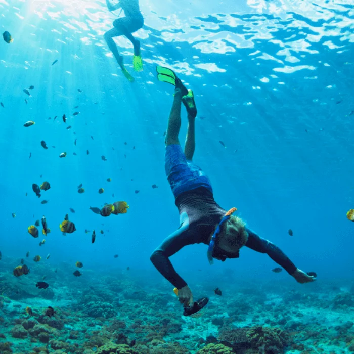Discover Nature Like Never Before | Andean Travel Experience
