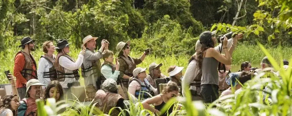 Boat safari on the Amazon River spotting wildlife | Andean Travel Experience
