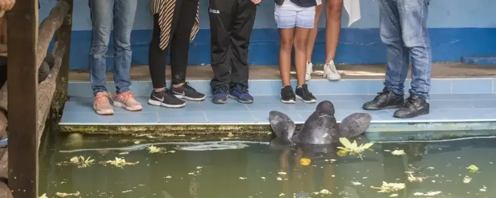 Manatee Rescue Center in the Peruvian Amazon | Andean Travel Experience