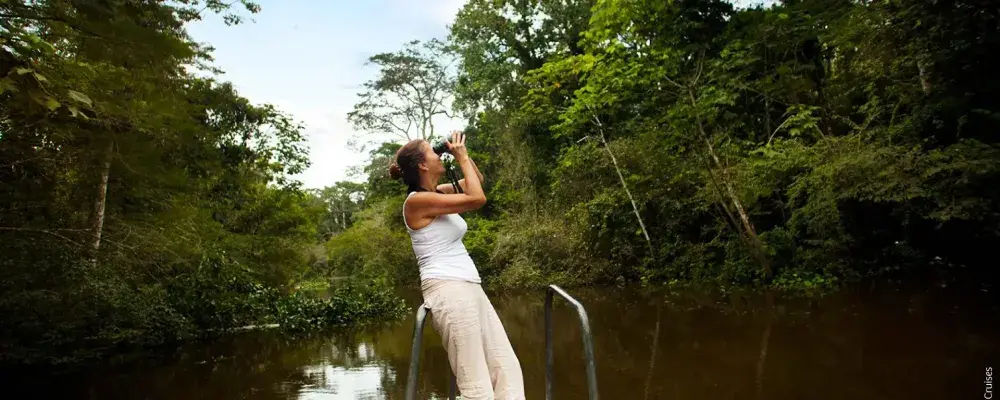 Turism Birds Watching | Andean Travel Experience