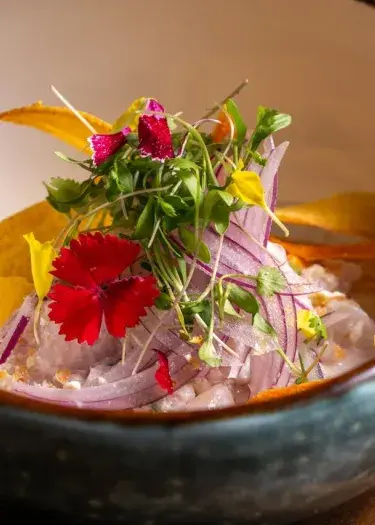 Ceviche Culinary Adventure in Peru | Andean Travel Experience