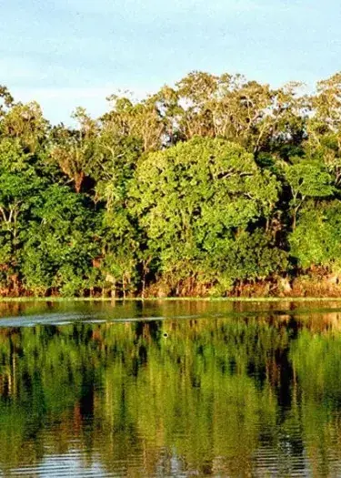 Peruvian National Parks: Wild Beauty, Biodiversity & Timeless Adventure | Andean Travel Experience