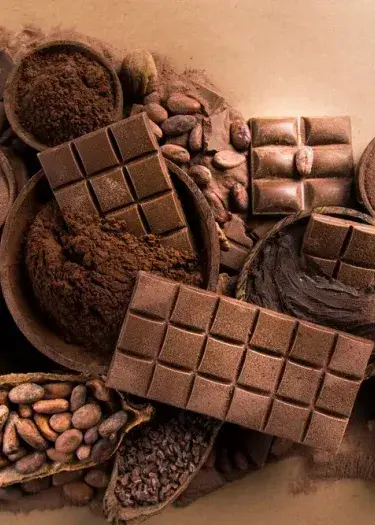 Peruvian Chocolate: A Luxury Journey to the Birthplace of Cacao | Andean Travel Experience