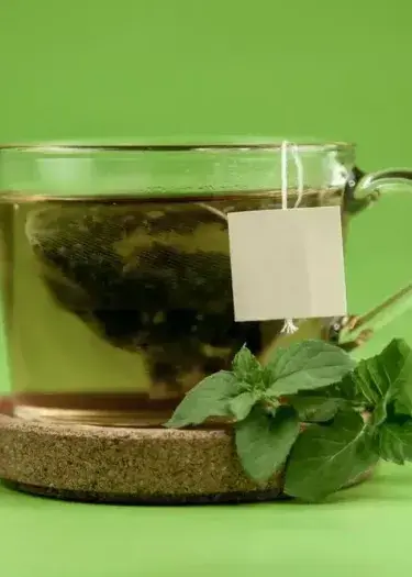 Muña Tea in Peru: Benefits, History, and Where to Experience | Andean Travel Experience Muña Tea in Peru: Benefits, History, and Where to Experience | Andean Travel Experience