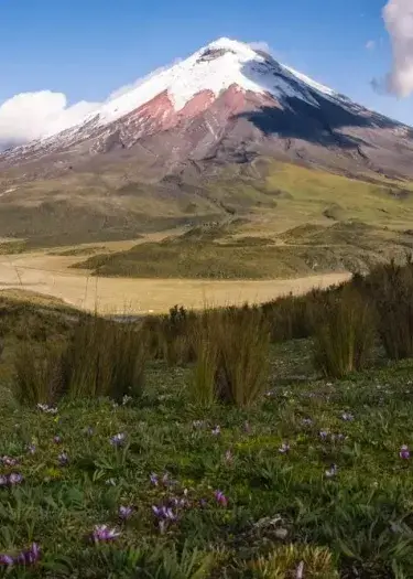 Things to Do in Ecuador: The Ultimate Travel Guide from the Andes to the Galápagos | Andean Travel Experience