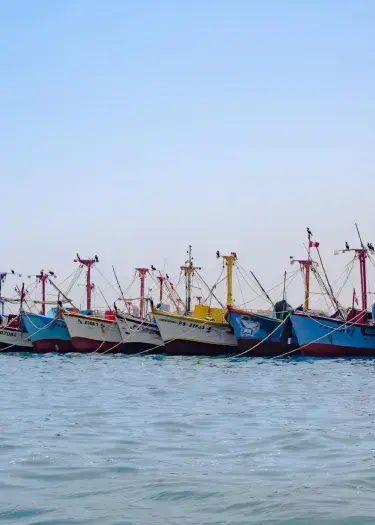 Northern Peru Travel: Ancient Ruins, Food & Hidden Kingdoms, Boats on a Sunny day at the Ocean | Andean Travel Experience