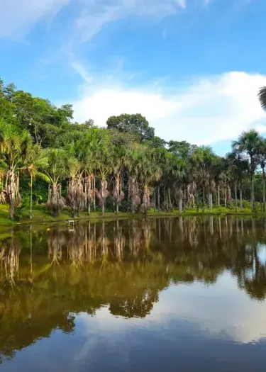Best Time to Visit Puerto Maldonado