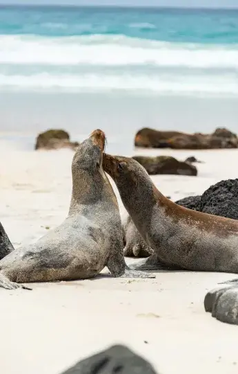 Peru and Ecuador Tours | Andean Travel Experience