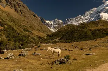 Best Destinations Peru | Andean Travel Experience Best Destinations Peru | Andean Travel Experience