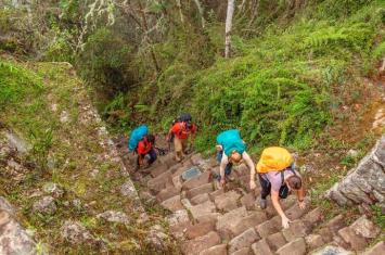 Inca Trail General Information and History | Andean Travel Experience