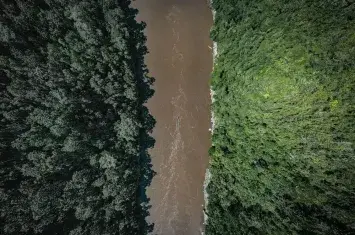 Aerial view of the Peruvian Amazon rainforest, showing dense green canopy, winding rivers, and lush tropical vegetation from above. | Andean Travel Experience